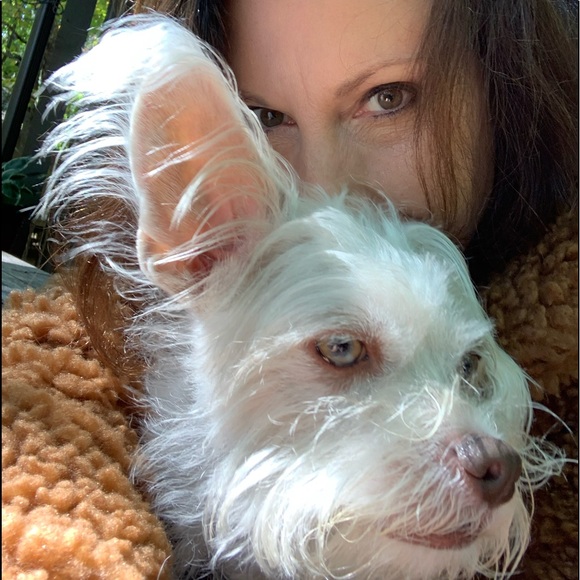 Welcome to my Closet! - Picture 16 of 17